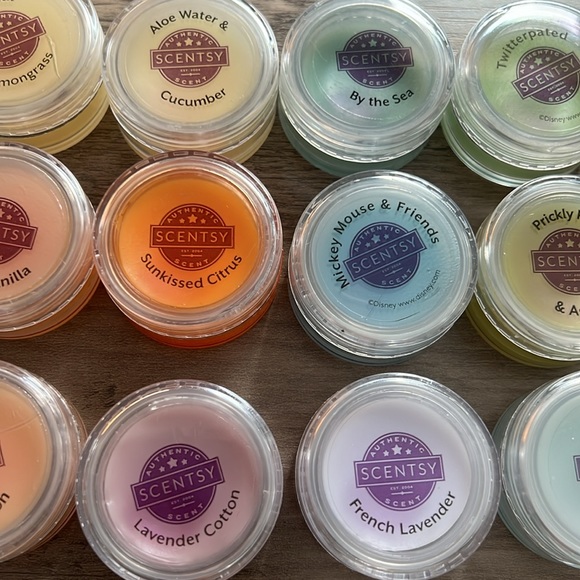 Scentsy mini sample testers + sample bags - Picture 4 of 12